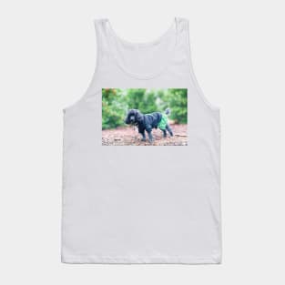 Black and grey poodles Tank Top